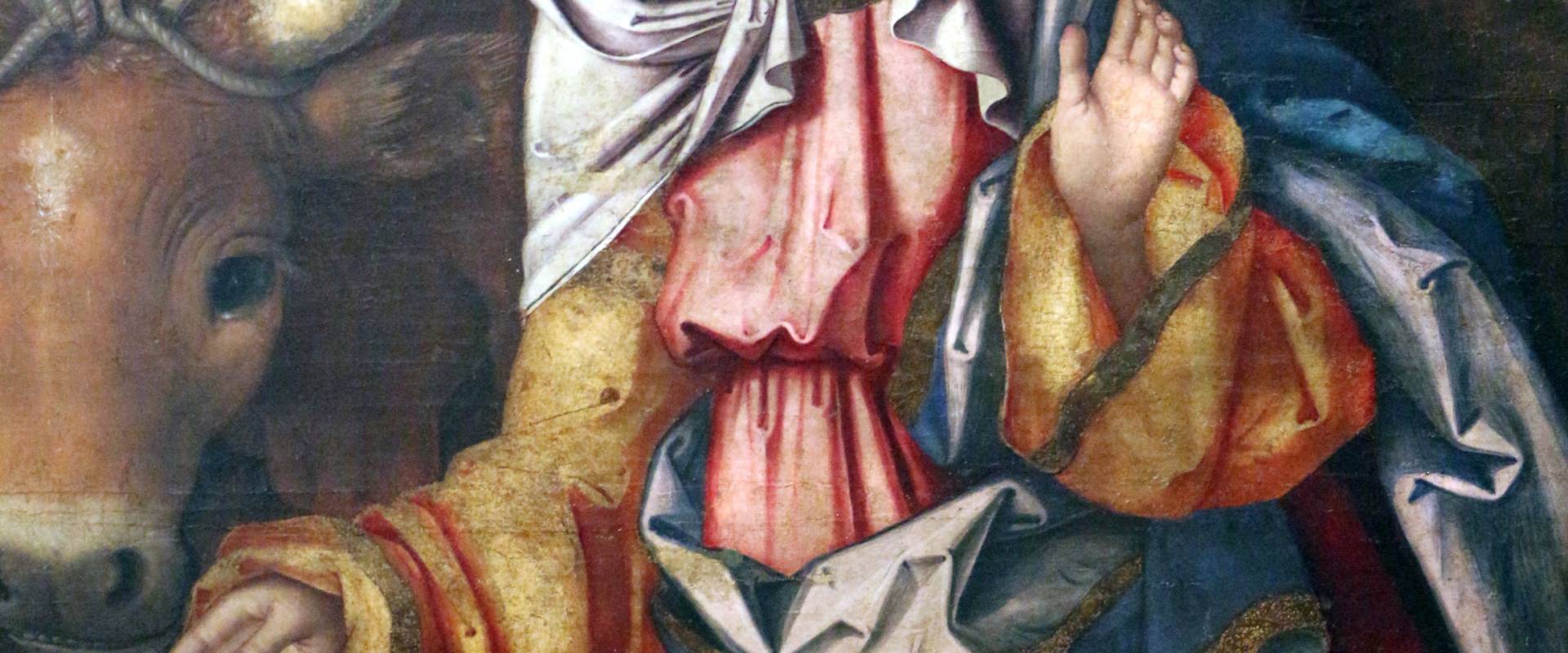 Francesco zaganelli da cotignola, adorazione dei pastori coi ss. bonaventura e girolamo, 1520-30 ca. 08 photo by Sailko